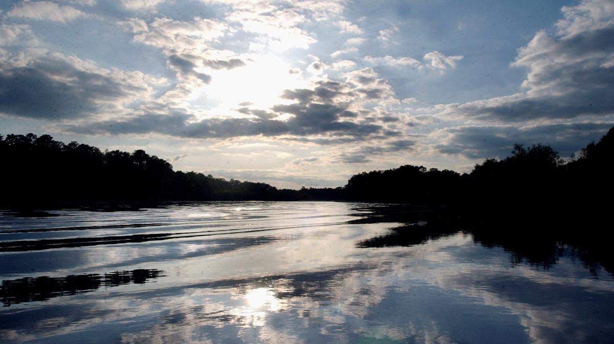 TIM ISBELL/SUN HERALD/2003The Pascagoula River is a treasure we'd like to protect.