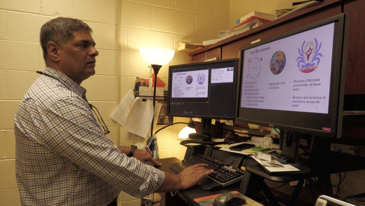 Dr. Shahid Karim explains tick research tied to alpha-gal syndrome in his office at the University of Southern Mississippi.