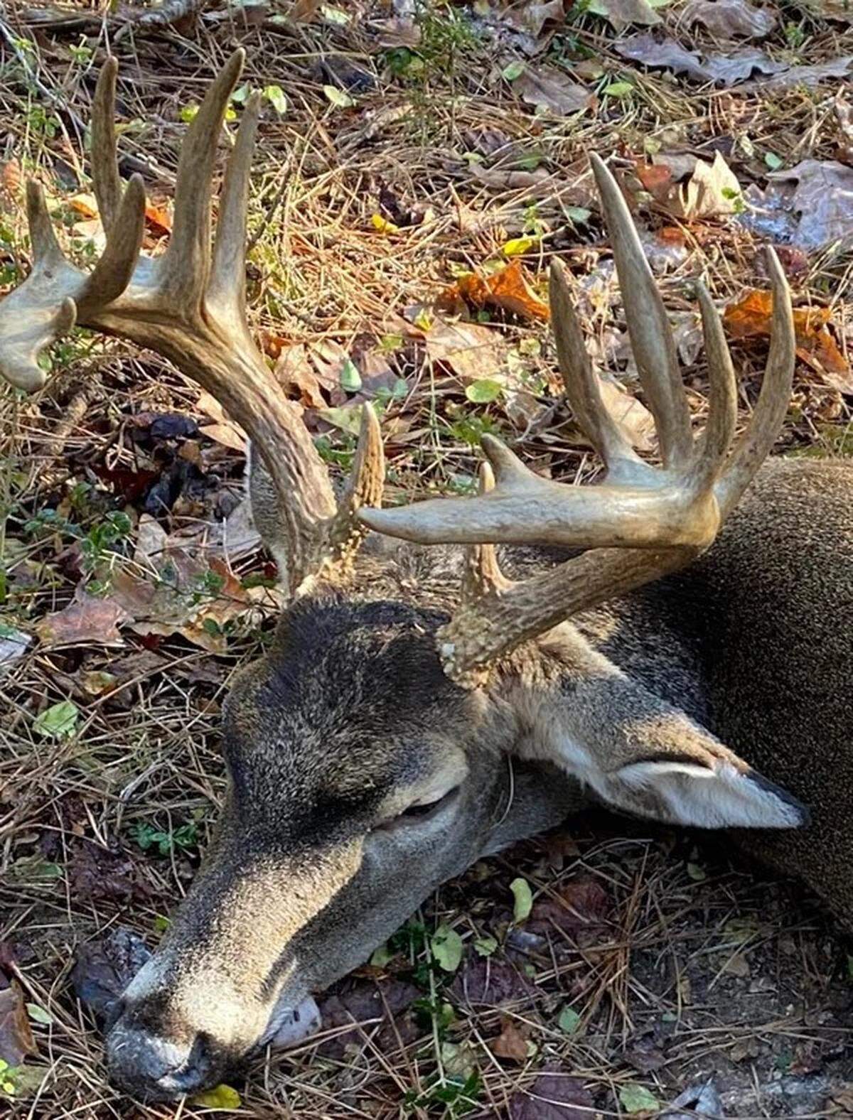 Mississippi hunter Johnathan Fortenberry of Magnolia harvested a unique buck with two rows of tines.