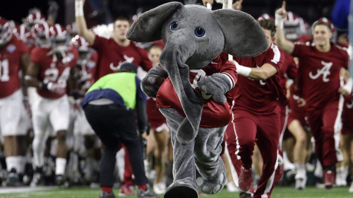 Big Al, the Alabama mascot takes the field before the Cotton Bowl NCAA college football semifinal playoff game against Michigan State, Thursday, Dec. 31, 2015, in Arlington, Texas. (AP Photo/LM Otero)