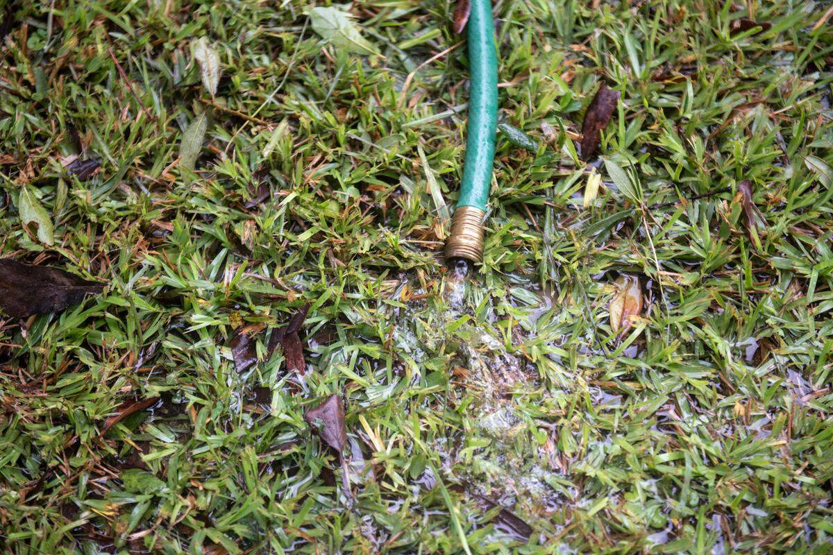 A hose empties water pumped out from inside Joey Petty’s home in Pascagoula on Monday, Aug. 30, 2021.
