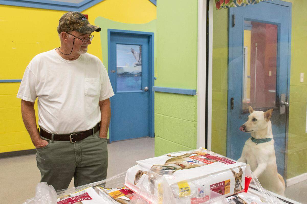Michael Nuss, of Pearlington, makes eye contact with a dog up for adoption at the Humane Society of South Mississippi in Gulfport on Thursday, July 7, 2022. Nuss, who lost his beloved dog recently, came to the shelter to start looking for a new dog to adopt.