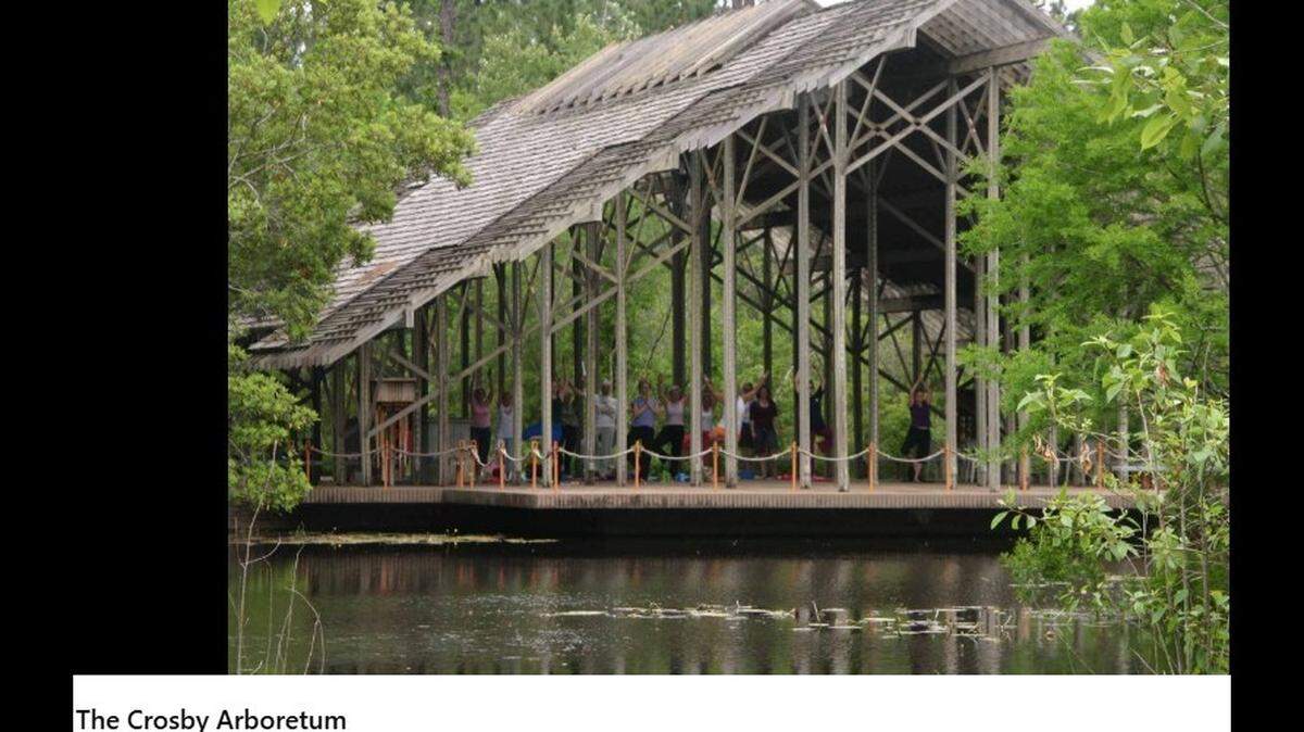 The Crosby Arboretum was named the most beautiful garden in Mississippi, according to HGTV.