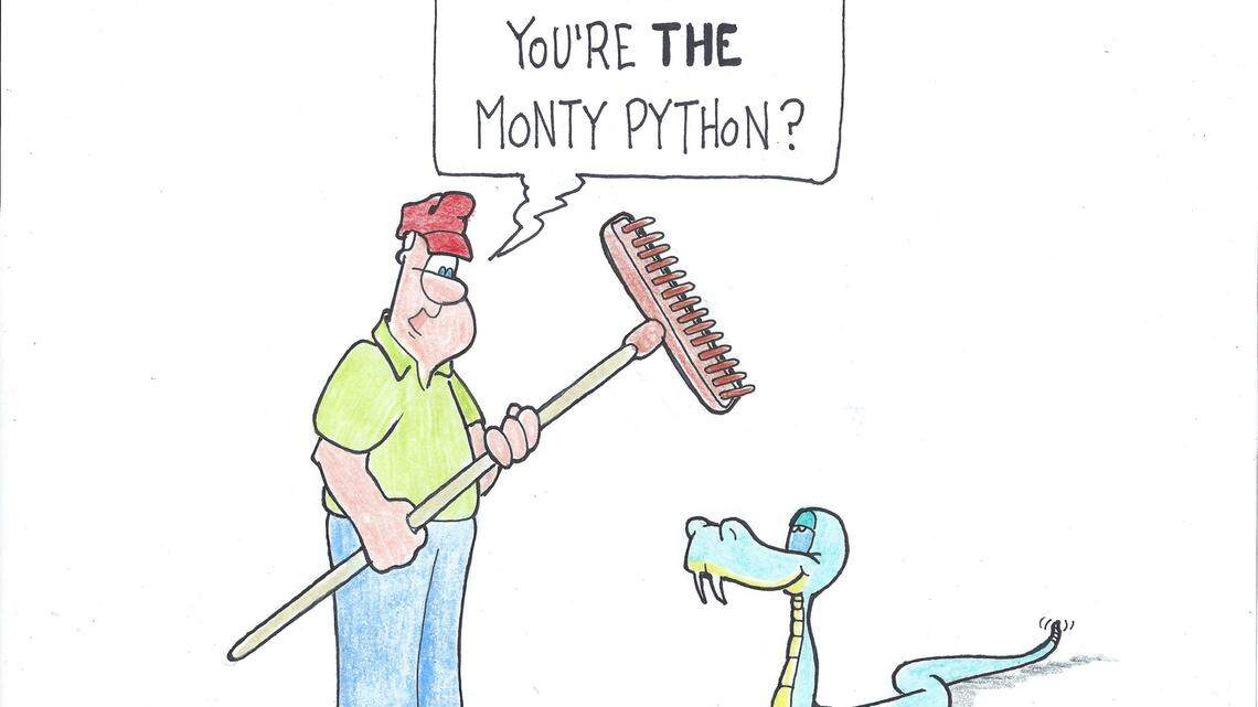 Snakes don't care for clean yards 