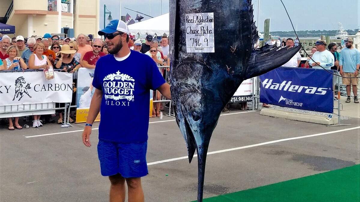 Chase Pate’s 796.9-pound blue marlin, caught aboard Reel Addiction, was the highlight of Day 2 of the Gulf Coast Billfish Classic at Point Cadet Marina in 2018.