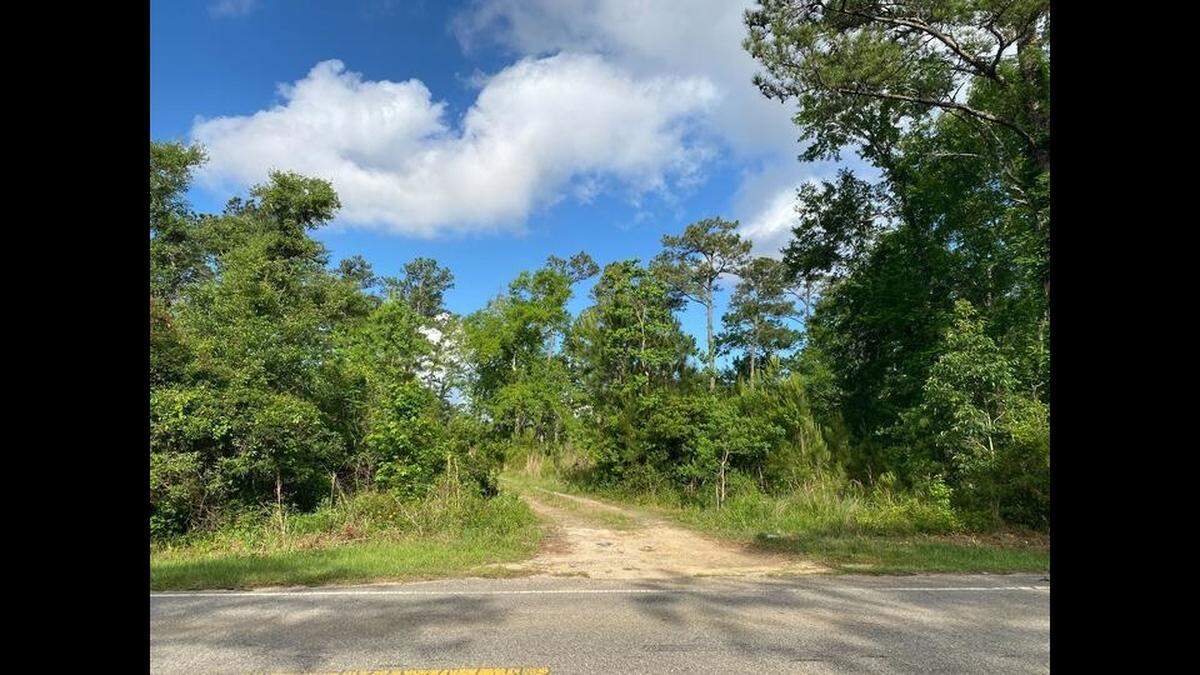 Harrison County sheriff’s deputies found Joyce Gomez dead off a dirt path on the west side of W Wittman Road on Sunday. Foul play is suspected in her death, Pass Christian Police Chief Daren Freeman said.