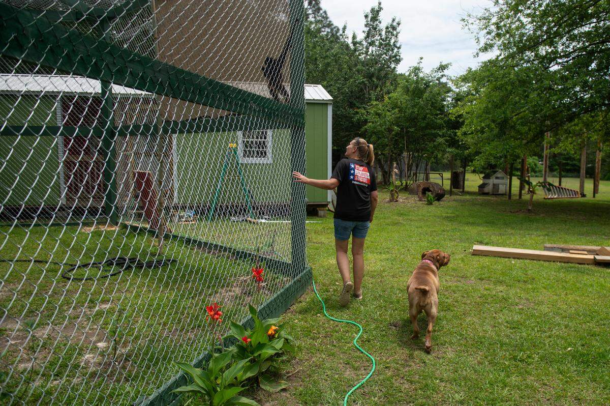 Owner April Stewart walks around the side of the spider monkey enclosure at Gulf Coast Primate Sanctuary in Perkinston, on Thursday, May 1, 2025.