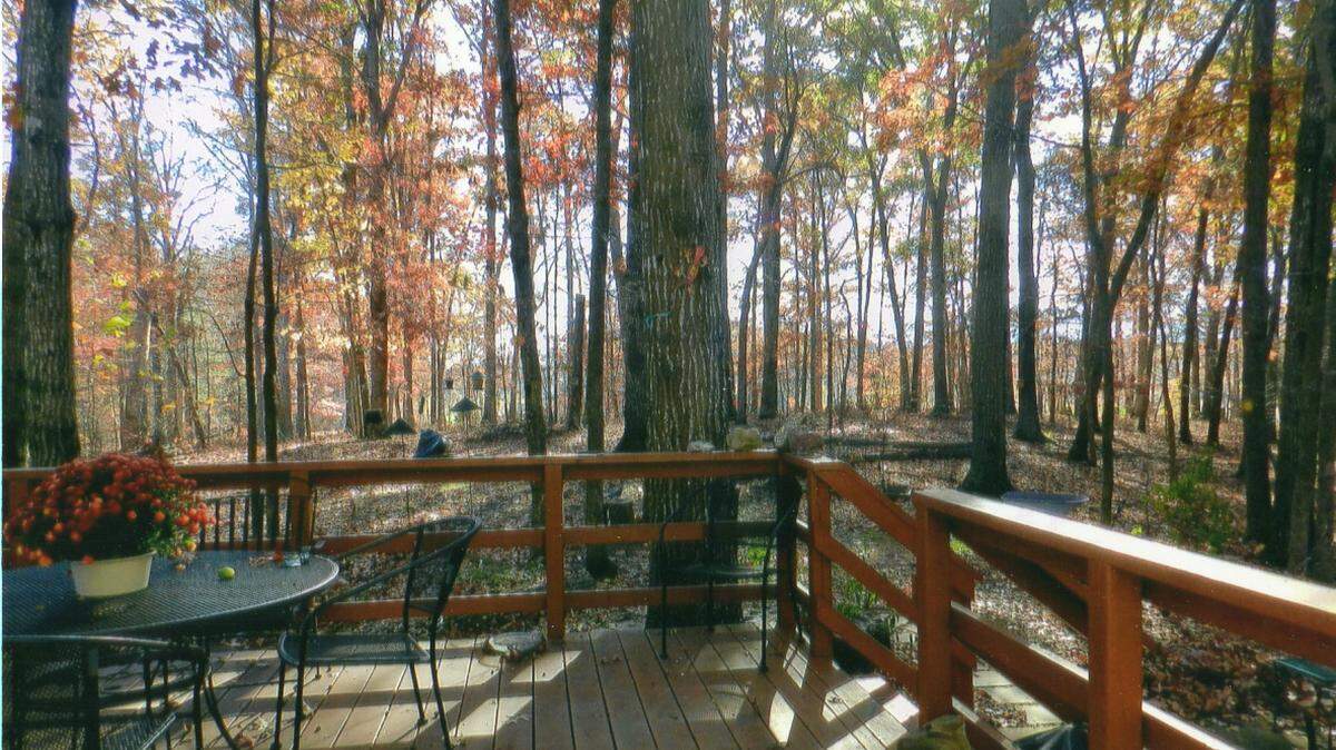 KAT BERGERON/SPECIAL TO THE SUN HERALDTrees have lost about half their leaves at this autumn point, allowing views between trunks, a peak not possible in summer with its thick green canopy. 