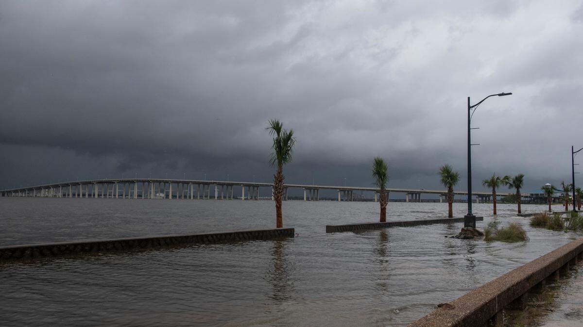 Palm trees on Front Beach in Ocean Springs are submerged by storm surge as Hurricane Ida arrives on Sunday, Aug. 29, 2021.