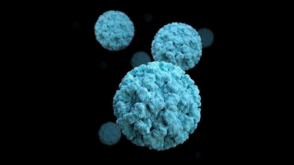Based on electron microscopic (EM) imagery, this illustration provides a three-dimensional (3D), graphical representation of a number of norovirus virions, set against a black background.