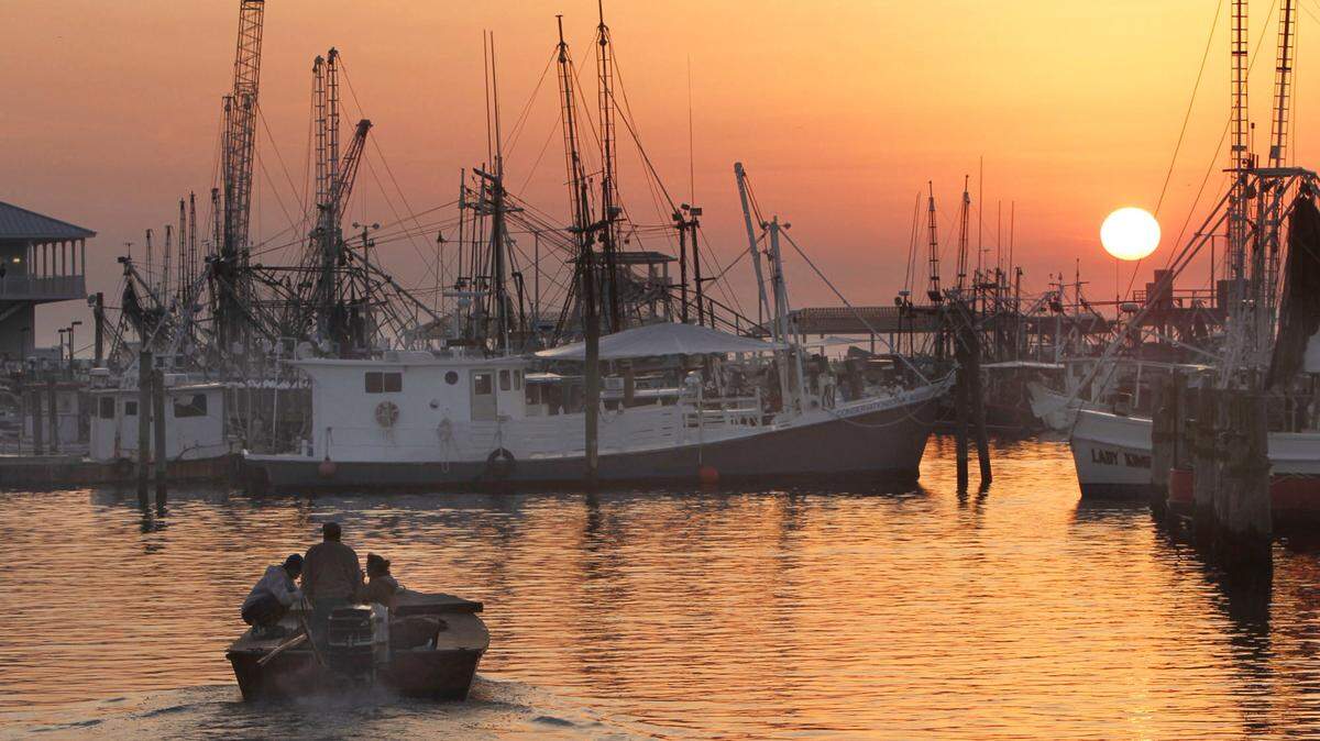 TIM ISBELL/SUN HERALD 
 The sun rises over the horizon as more fishermen head to oysters reefs. Coast oyster reefs could reopen next week.