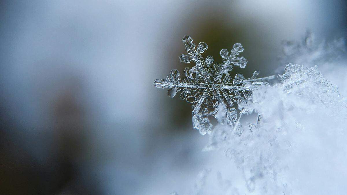 There’s a low chance of snow in southern Mississippi this weekend amid a warmer-than-average winter, weather experts said. Here’s where you could watch it without leaving your house.
