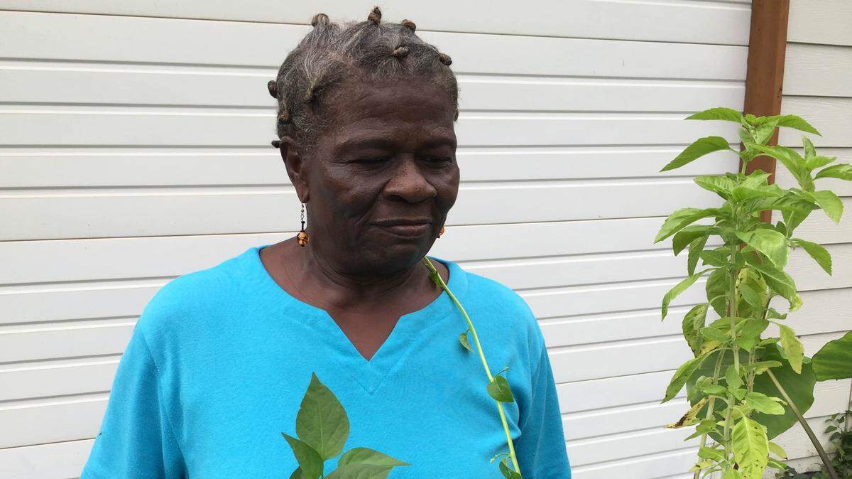 JEFF CLARK/SPECIAL TO THE SUN HERALD 
 Barbados native Lauren Lynch, 70, cares for more than 200 plants in her container plant garden.