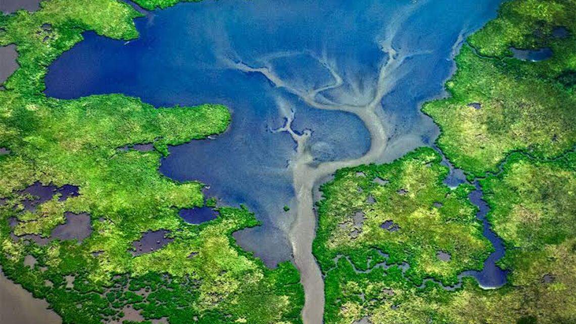 Artist's 'Coastal Waterways' exhibit captures eroding wetlands  