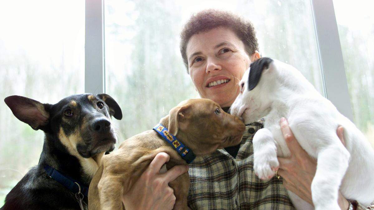 ANDREA J. WRIGHT/SEATTLE TIMES/MCTIt's important to socalize puppies early.