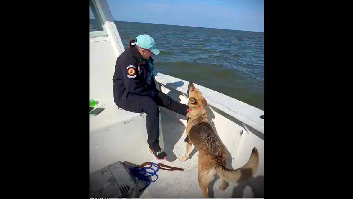 Handler Crystal Field of Team Texas K9s and her dog Ensey worked with the United Cajun Navy to find the Cessna Skyhawk downed Nov. 24 in Lake Pontchartrain. A diver reached the fuselage Nov. 29 after Ensey alerted on its location.