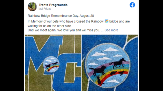 A landscaper who painted a Tennessee high school’s football field for years quit after his latest art meant to commemorate Rainbow Bridge Day was covered. 