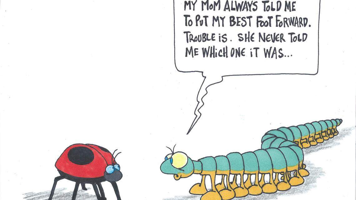 Tim Lockley: Millipedes are helpful in the lawn 