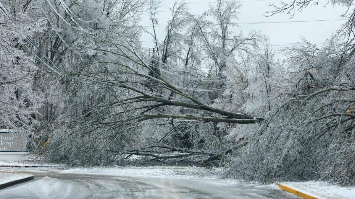 An ice-covered tree blocks a street in Oxford on Jan. 25.