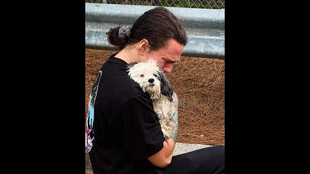 Firefighters in Cobb County, Georgia, used a rope system to rescue a dog that fell 12 feet into a storm drain and got stuck on Feb. 27, photos show.