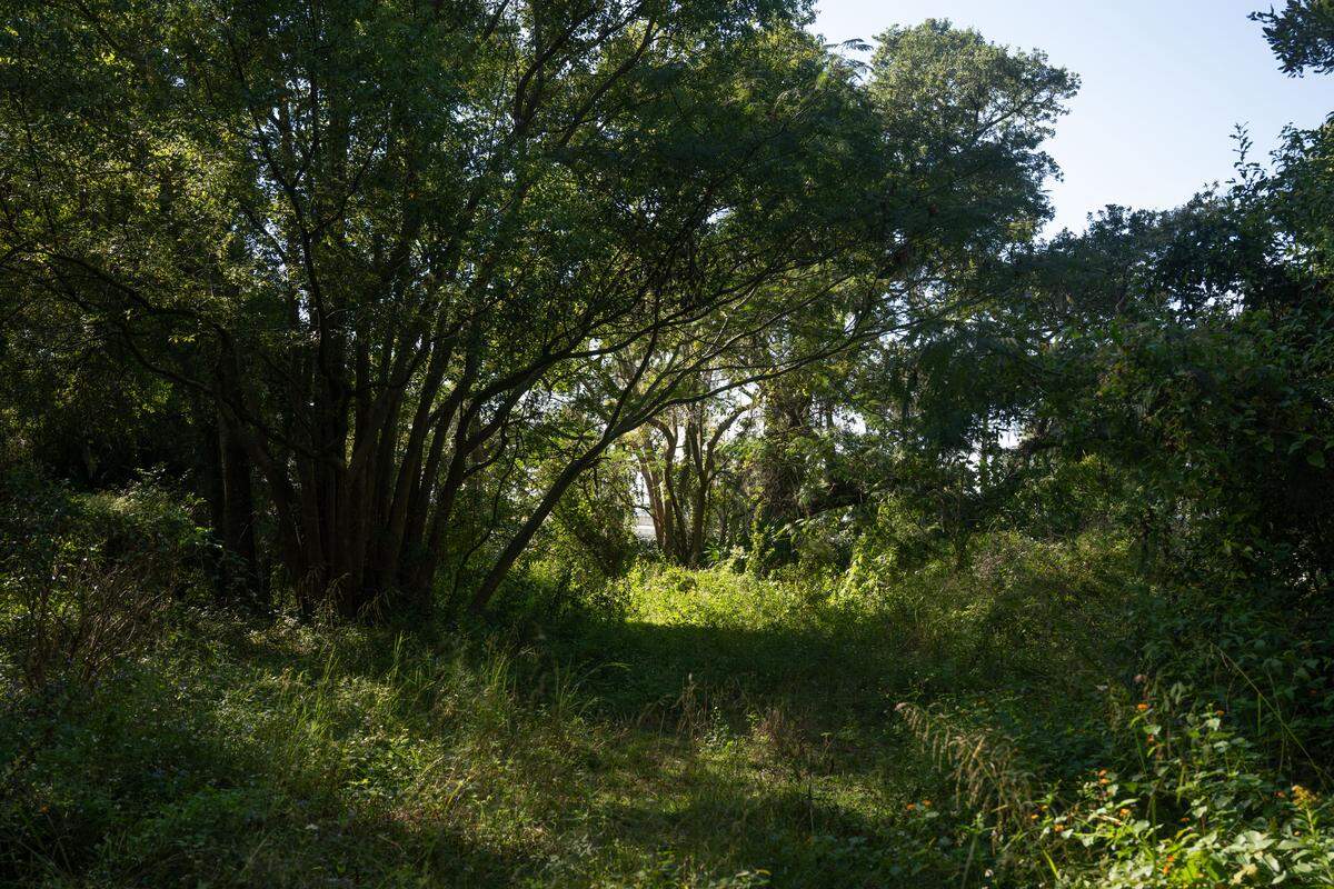 Another view of the acreage under contract on Front Beach in Ocean Springs on Tuesday, Oct. 21, 2025.