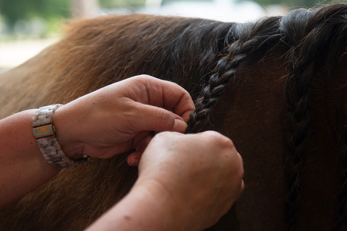 Kinsley McBride’s mother, Brooke Pollard, braids the hair of her horse Houdini at the Harrison County Fairgrounds on Thursday, June 13, 2024.