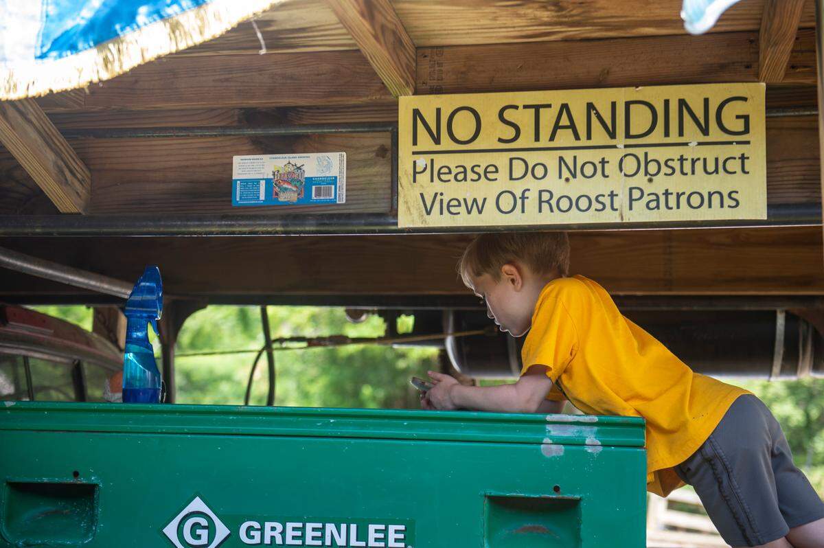 A child plays under the supports of the treehouse, a viewing platform built on top of a pickup truck, at Pete Taylor Park in Hattiesburg on Saturday, May 28, 2022.