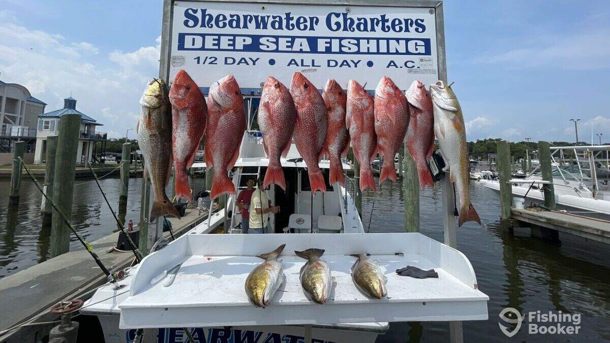 Brandon Morano, captain and owner of Shearwater Charters, won a FishingBooker Angler’s Choice Award for 2026.