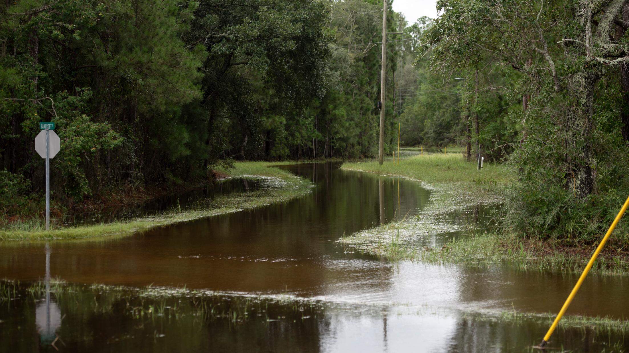 Forecasts predict coastal flooding in South MS. Here’s where the risk is highest