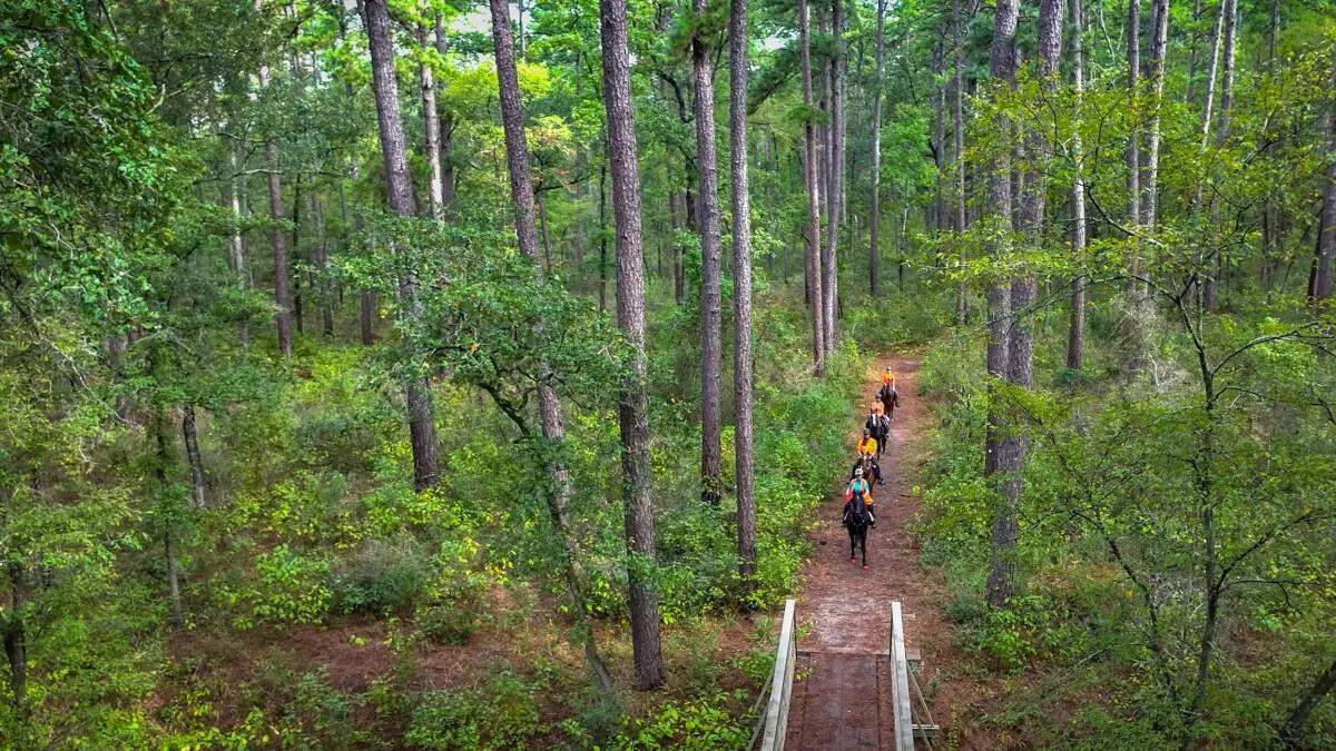 Visitors can ride their horses on one of many multiple-use trails on Sam Houston National Forest, Texas. ExxonMobil had sought to inject carbon under the forest, which is not allowed under U.S. Forest Service regulations. A draft agency rule, if finalized, would allow such sequestration.