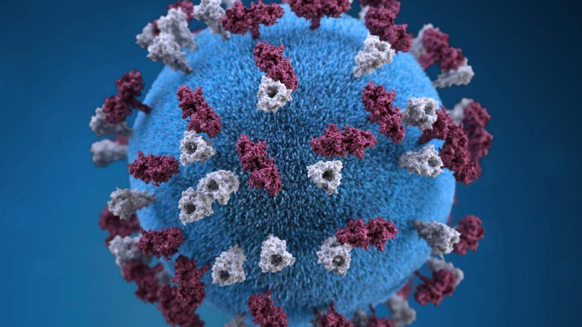 Coronavirus updates for Feb. 8: Here’s what to know in South Carolina this week