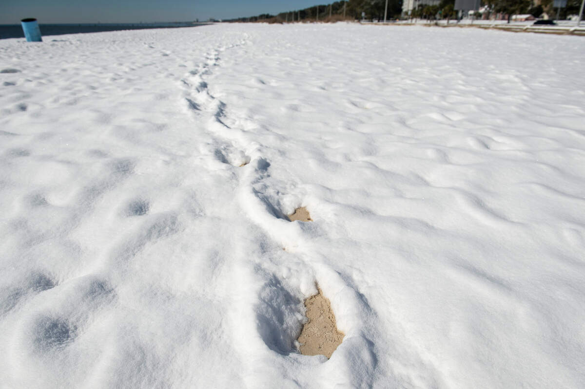 Instead of footprints in the sand, a visitor left footprints in the snow Wednesday, Jan. 22, 2025, on Biloxi Beach.