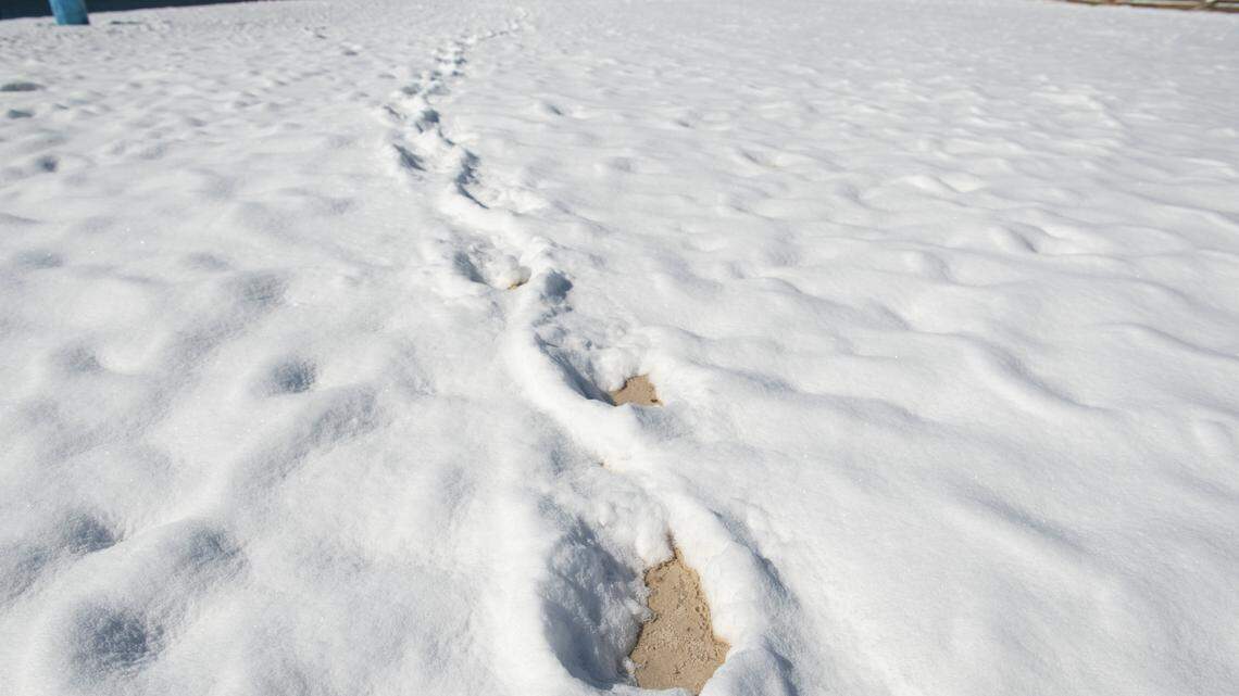 Unusual winter storm drops surprising amount of snow across South MS. Did we set a record?