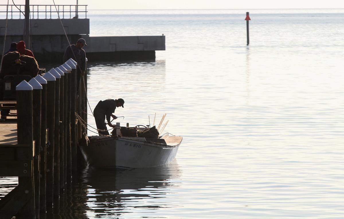 AMANDA McCOY/SUN HERALD/FILE A fisherman unloads his catch of oysters at the Pass Christian Harbor. The state Department of Marine Resources will open two oyster areas Wednesday.
