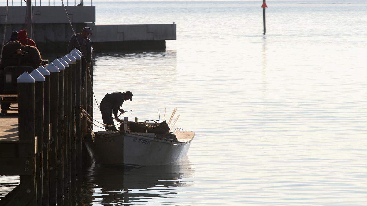 AMANDA McCOY/SUN HERALD/FILE 
 A fisherman unloads his catch of oysters at the Pass Christian Harbor. The state Department of Marine Resources will open two oyster areas Wednesday.
