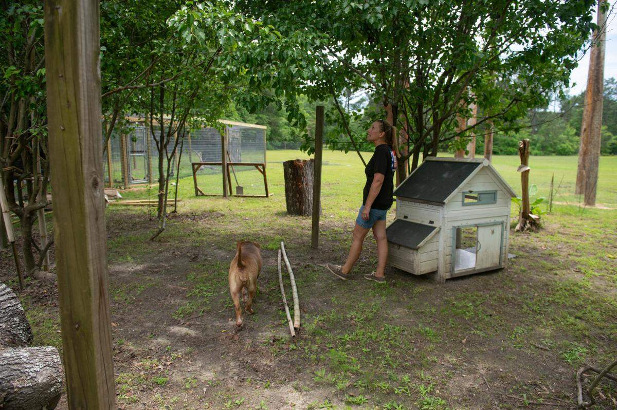 Owner April Stewart stands in what will eventually be the expansion of the spider monkey enclosure at Gulf Coast Primate Sanctuary in Perkinston, on Thursday, May 1, 2025.