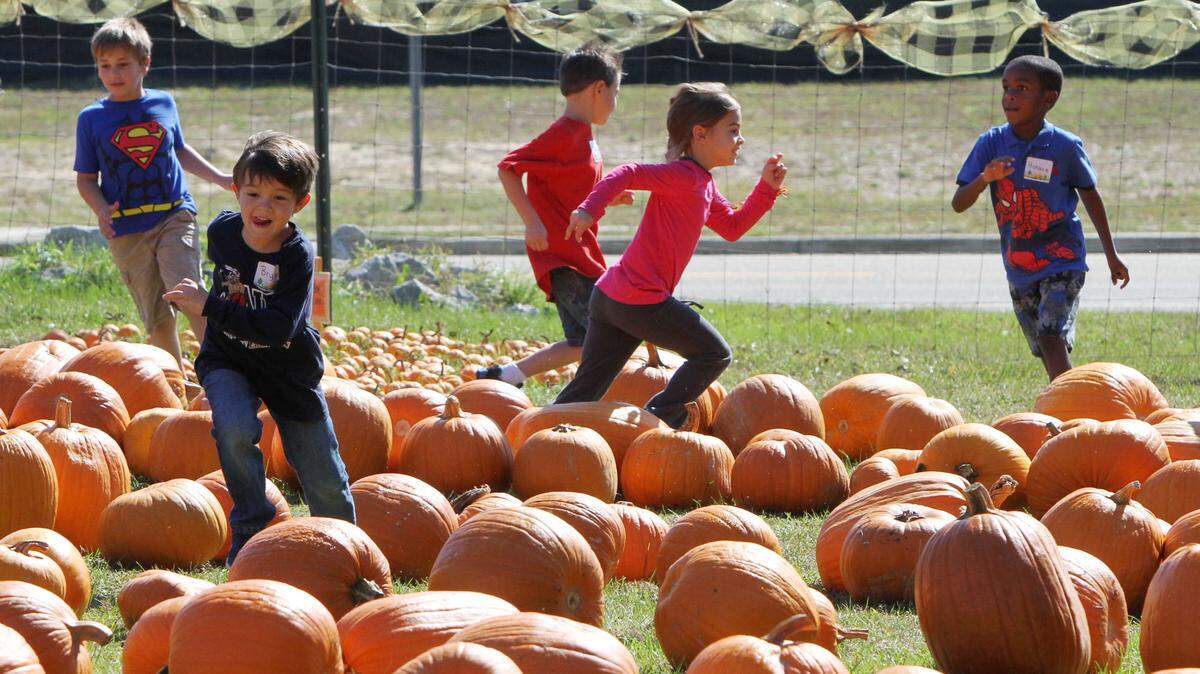 JOHN FITZHUGH/SUN HERALD 
 North Bay Elementary School students run through the pumpkin patch at Episcopal Church of the Redeemer in Biloxi on Friday Oct. 16, 2015.