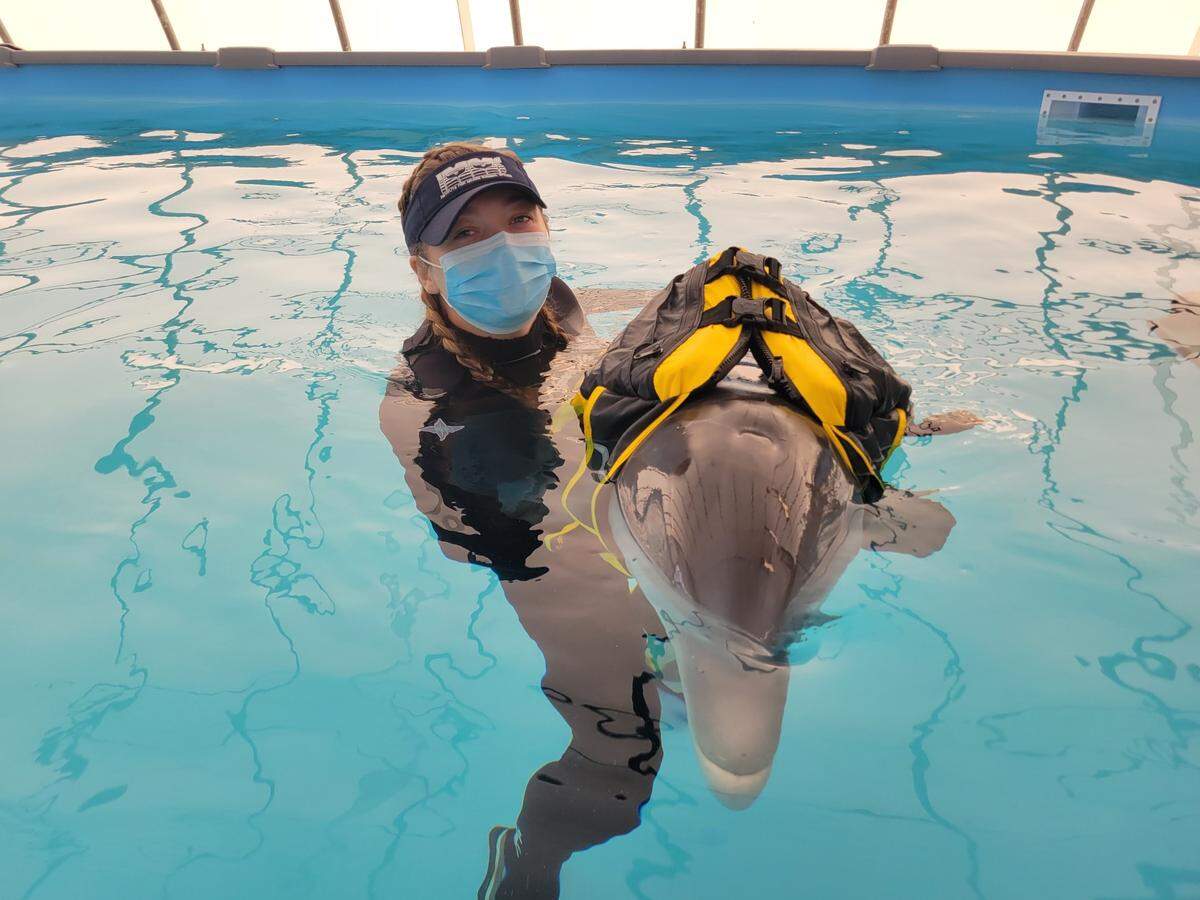 The dolphin from Long Beach needs help 24 hours a day. The animal sometimes wears a life jacket, which helps it stay afloat and breathing.