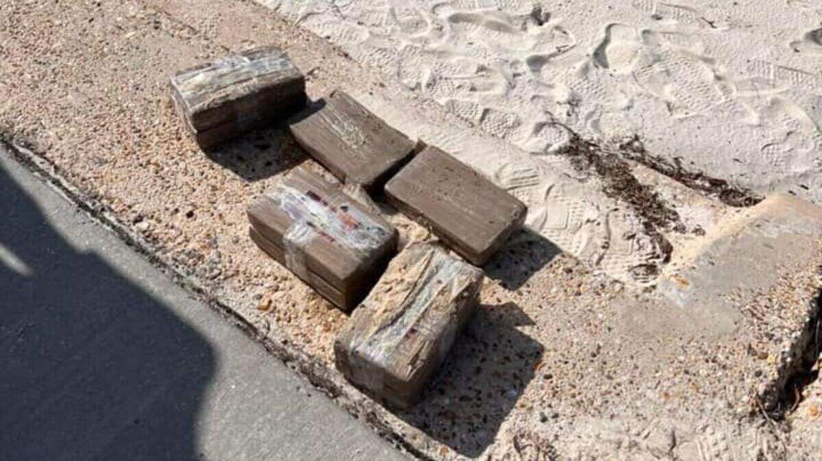 Eight bricks of apparent narcotics were found during a weekly cleanup by Keesler Airforce workers.
