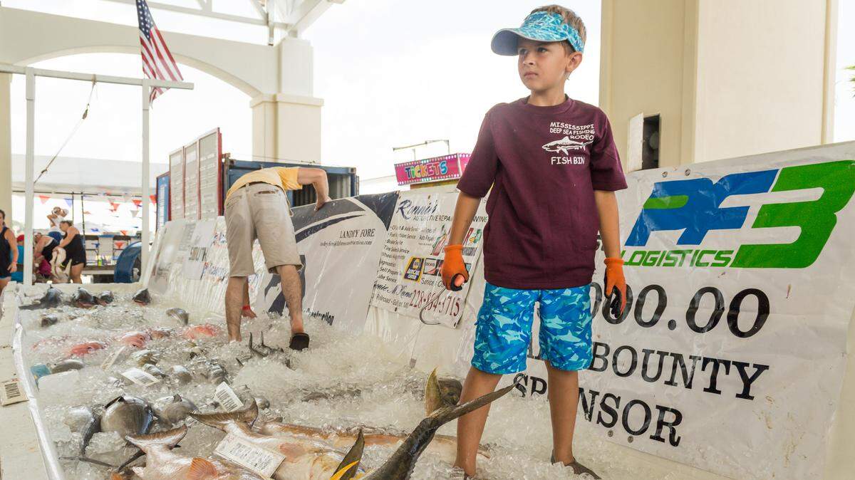 Rodi Armes, 8, of Pass Christian has been working the fish bin since he was 2 years old. He's helping out at the 71st annual Mississippi Deep Sea Fishing Rodeo at Barksdale Pavilion in Gulfport.