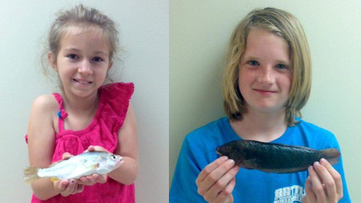 Eight-year-old Margaret Elaine Schindler, left, of Diamondhead set a youth record for Silver Perch (Bairdiella chrysoura) with a fish weighing 2.8 ounces. Myles Fallo, 11, of Pascagoula set a youth record for Slippery Wrasse (Halichoeres bivittatus) with a fish weighing 6.88 ounces.