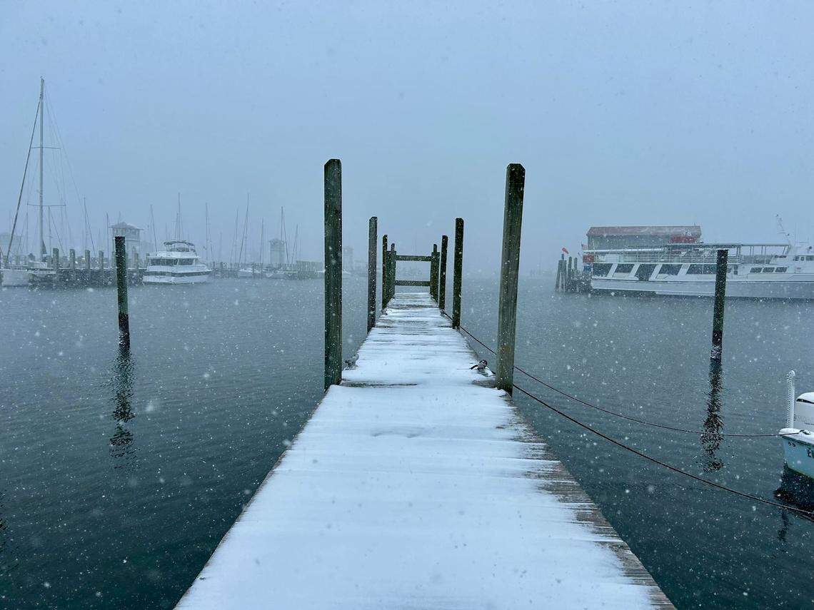 Scenes from Gulfport on Tuesday, Jan. 21, 2025, a day when snow blanketed South Mississippi.