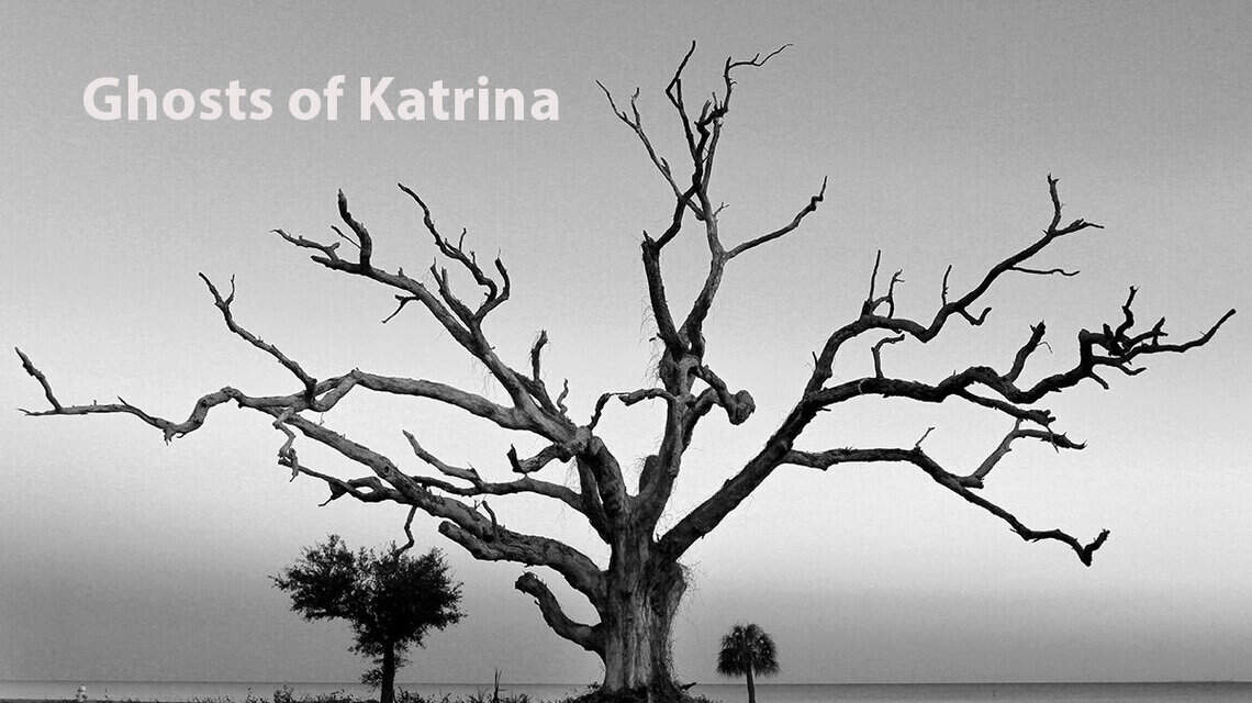 Ghosts of Katrina stand on empty lots across the Coast