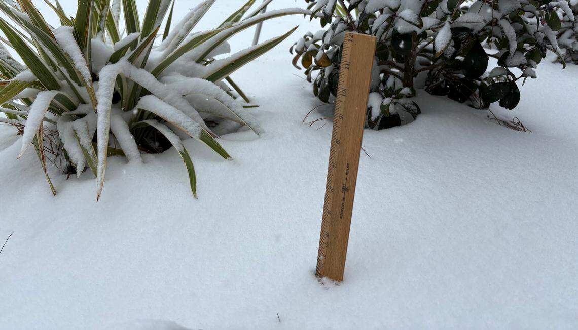 Two inches of snow had fallen by 11 a.m. Tuesday, Jan. 21, 2025, in Ocean Springs.