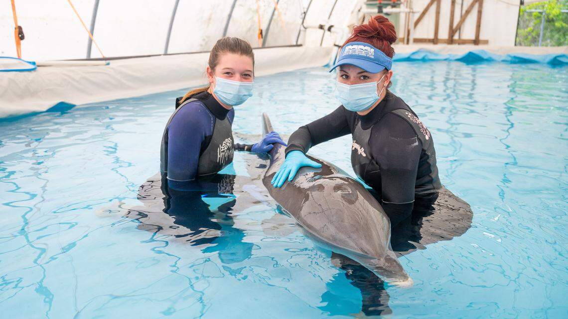 Views from readers: Protecting dolphins + coming together