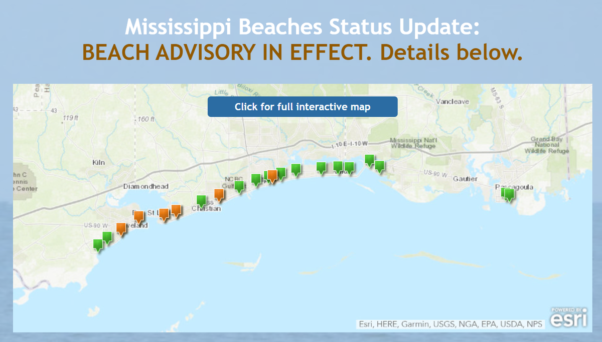 The brown flags show the six beaches in South Mississippi that are under water contact advisories because of elevated bacteria levels. The beaches are open but people are advised to stay out of the water in these areas.