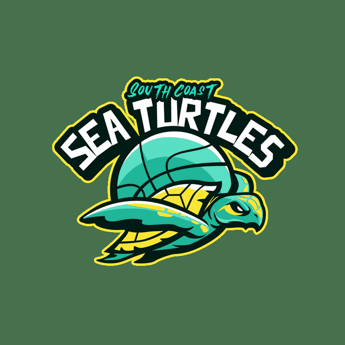 The logo for the South Coast Sea Turtles, a ABA basketball team being relocated to South Mississippi from California.