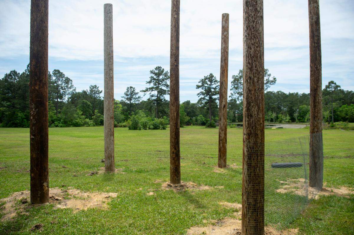 The site of what will be an enclosure for two squirrel monkeys at Gulf Coast Primate Sanctuary in Perkinston, on Thursday, May 1, 2025.