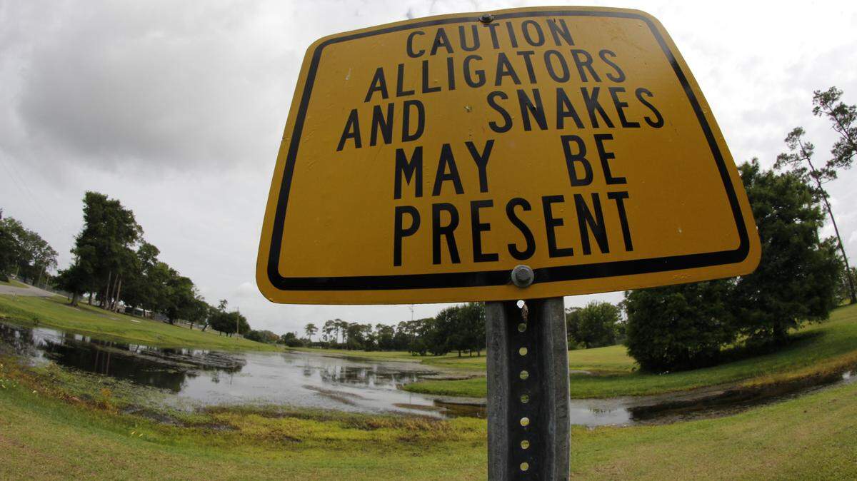 WESLEY MULLER/SUN HERALD 
 Signs warning of alligators and snakes line the banks of a lagoon at Biloxi's Hiller Park. May 15, 2016.