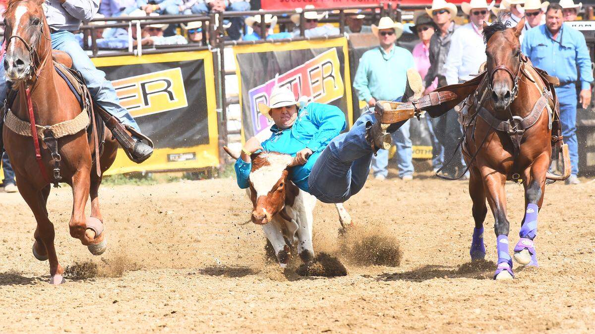 PROFESSIONAL COWBOY ASSOCIATIONCowboys try to wrestle a steer for points in the PCA Rodeo.